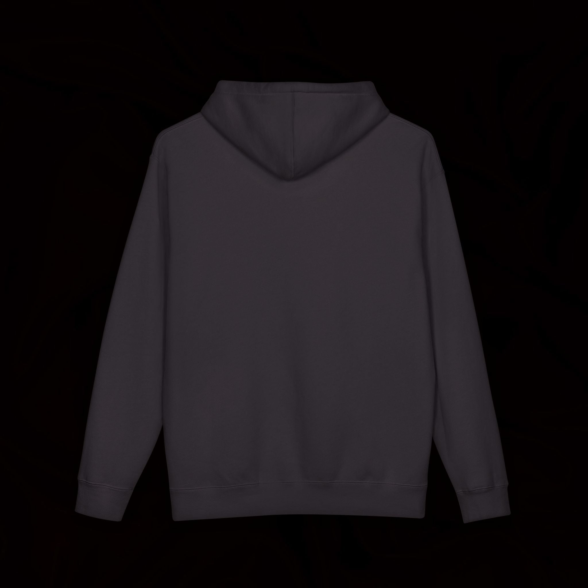 THE AFTERMATH HOODIE